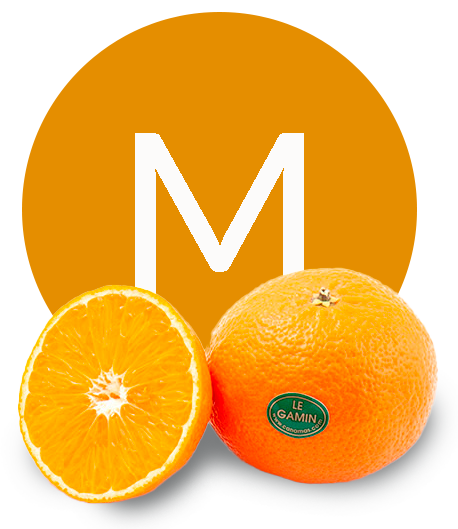 MANDARINS and CLEMENTINES